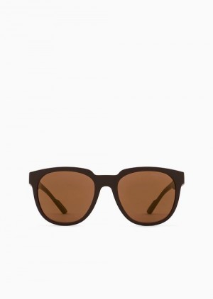 Brown Emporio Armani Men’s Panto Sunglasses With Interchangeable Temples | EA-SN59495