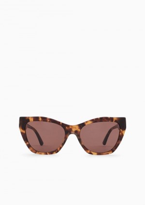 Brown Emporio Armani Women’s Cat-eye Sunglasses | EA-SN57715