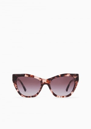 Brown Emporio Armani Women’s Cat-eye Sunglasses | EA-SN57766