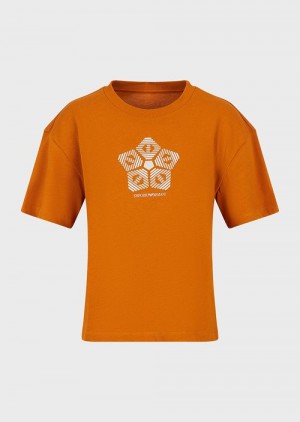 Orange Emporio Armani Organic American Jersey T-shirt With Sustainable Collection Print | EA-SN57059