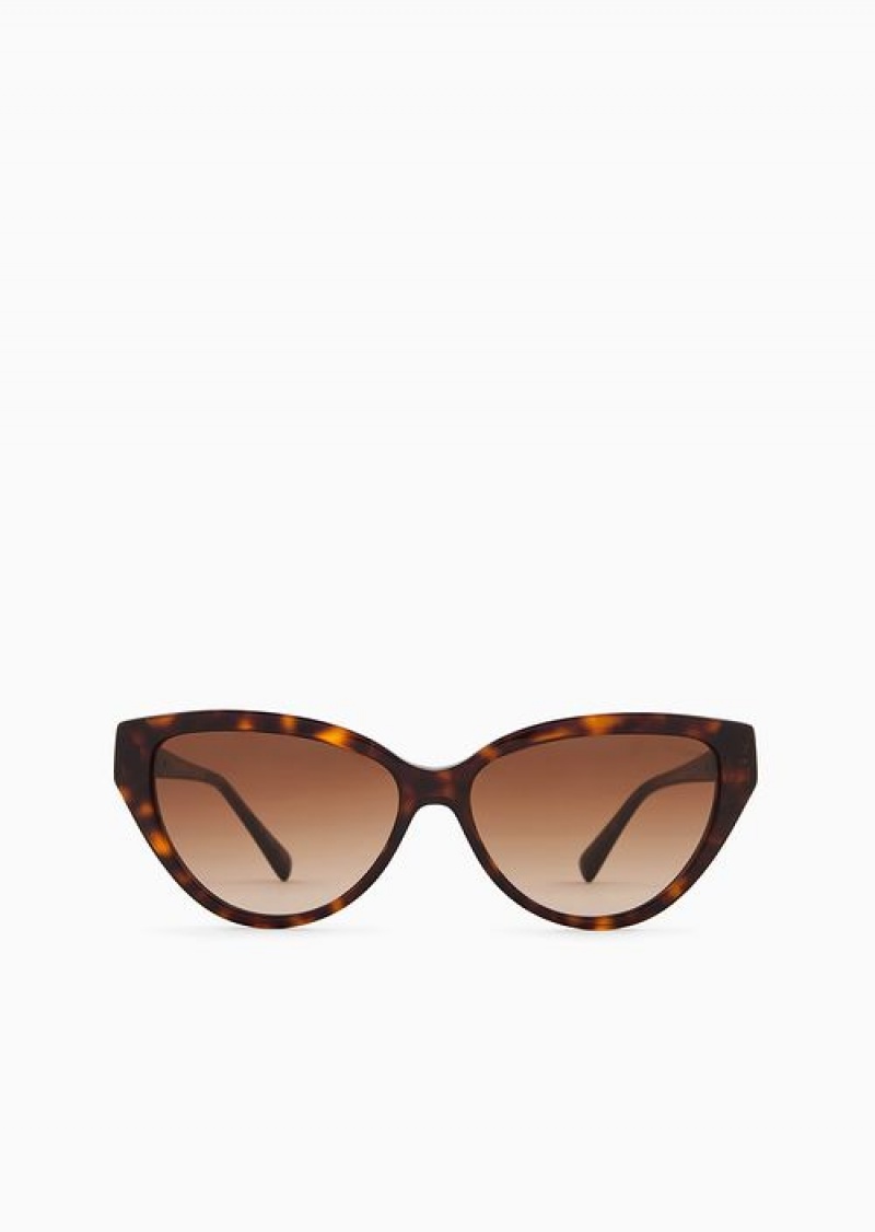 Brown Emporio Armani Women’s Cat-eye Sunglasses | EA-SN57768